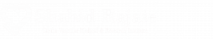 dr-bahram mohebi